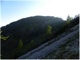 Lokovnikov Grintovec / Grintoutz